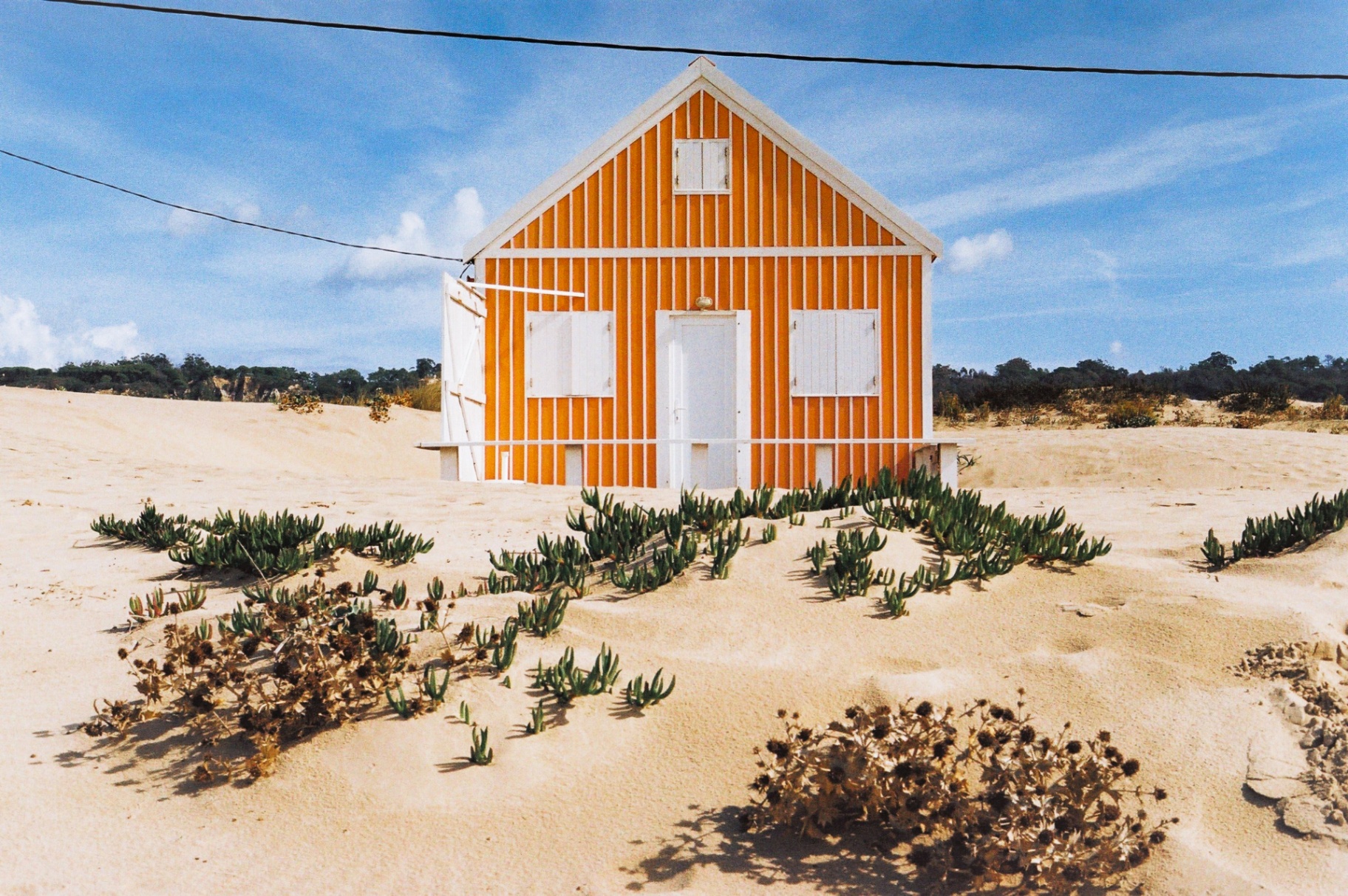 Comporta region in Portugal — property advisory by MOST Lisbon